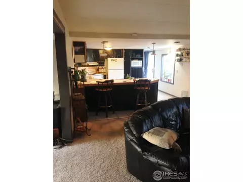 1115 Macdavidson Cir, Dacono, CO 80514 photo 6