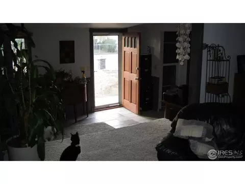 1115 Macdavidson Cir, Dacono, CO 80514 photo 4