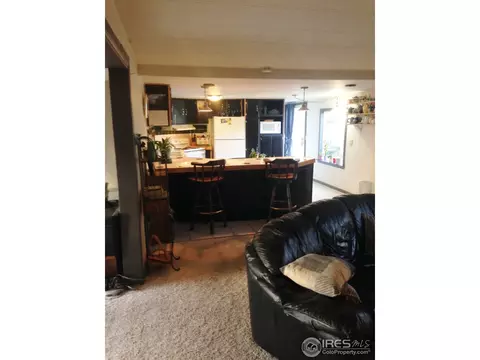 1115 Macdavidson Cir, Dacono, CO 80514 photo 8