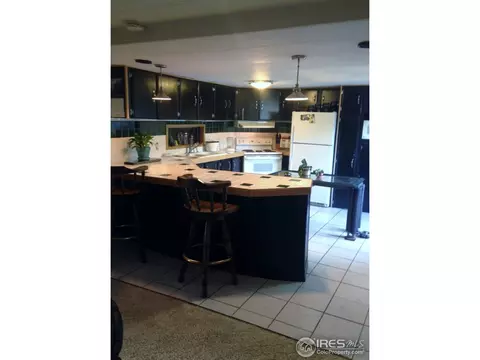 1115 Macdavidson Cir, Dacono, CO 80514 photo 9