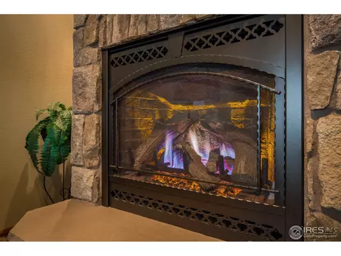 1012 Pinyon Dr, Windsor, CO 80550 photo 6