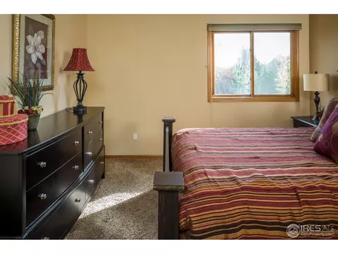 1012 Pinyon Dr, Windsor, CO 80550 photo 10