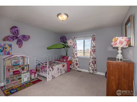 712 Traildust Dr, Milliken, CO 80543 photo 13