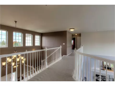 4370 Firehawk Ct, Windsor, CO 80550 photo 14