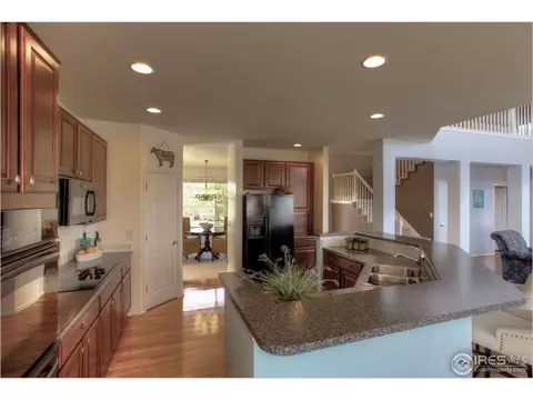 4370 Firehawk Ct, Windsor, CO 80550 photo 5