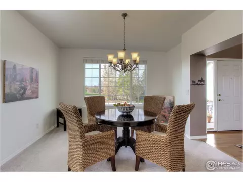 4370 Firehawk Ct, Windsor, CO 80550 photo 3