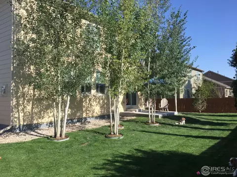 612 Botley Dr, Windsor, CO 80550 photo 21