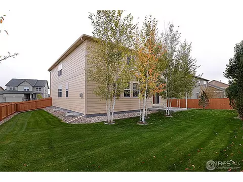 612 Botley Dr, Windsor, CO 80550 photo 19