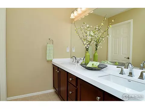 612 Botley Dr, Windsor, CO 80550 photo 17