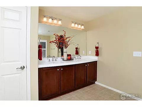 612 Botley Dr, Windsor, CO 80550 photo 12