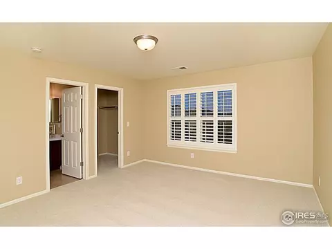 612 Botley Dr, Windsor, CO 80550 photo 15