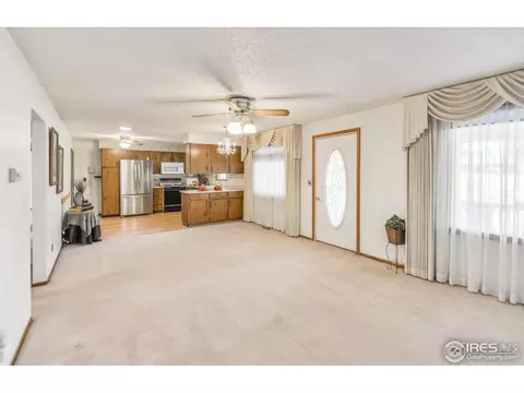 509 7th St, Windsor, CO 80550 photo 4