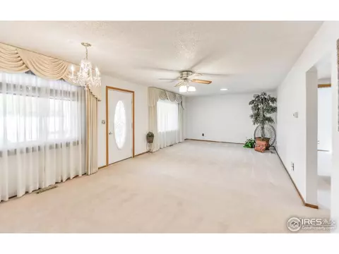 509 7th St, Windsor, CO 80550 photo 5