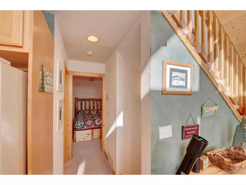 96 Bear, Guffey, CO 80820 photo 11
