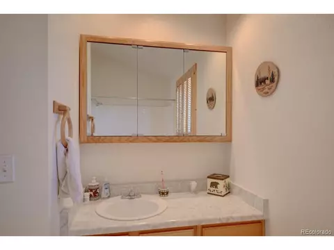 96 Bear, Guffey, CO 80820 photo 23