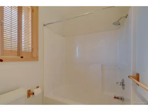 96 Bear, Guffey, CO 80820 photo 22