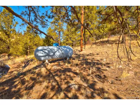 96 Bear, Guffey, CO 80820 photo 27