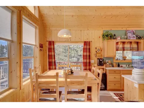 96 Bear, Guffey, CO 80820 photo 8