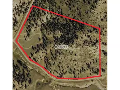 96 Bear, Guffey, CO 80820 photo 29