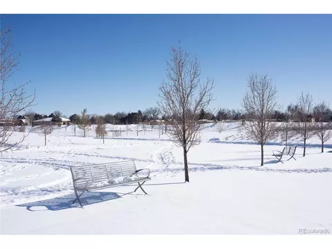 9813 E 26th Ave, Denver, CO 80238 photo 20