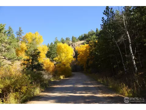 39 Soaring Rock Cir, Red Feather Lakes, CO 80545 photo 21