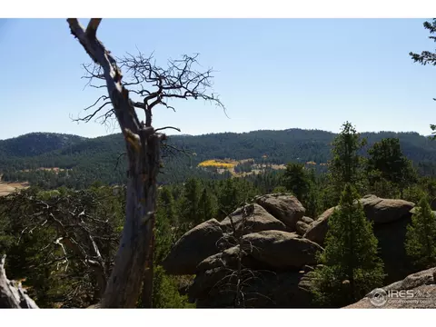 39 Soaring Rock Cir, Red Feather Lakes, CO 80545 photo 5