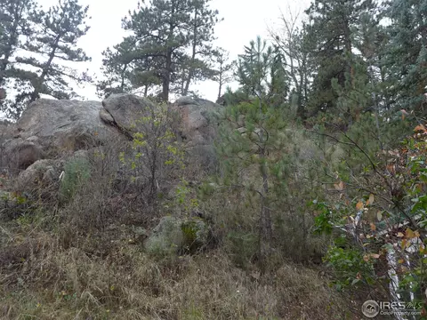 1151 Longmont Dam Rd, Lyons, CO 80540 photo 8