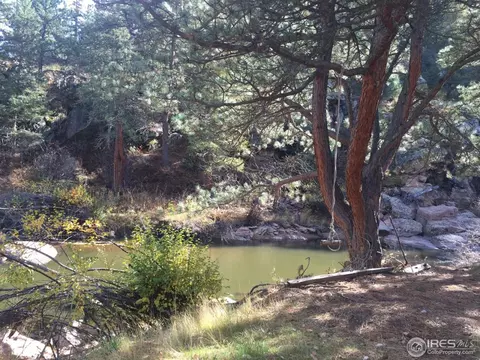 1151 Longmont Dam Rd, Lyons, CO 80540 photo 4