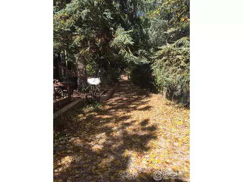 1151 Longmont Dam Rd, Lyons, CO 80540 photo 2
