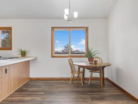 805 Hi Meadow Dr, Bailey, CO 80421 photo 8