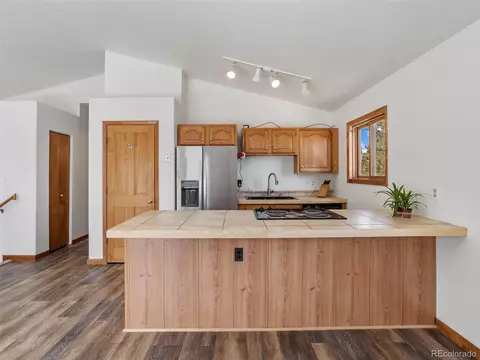 805 Hi Meadow Dr, Bailey, CO 80421 photo 11