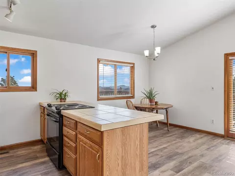 805 Hi Meadow Dr, Bailey, CO 80421 photo 13