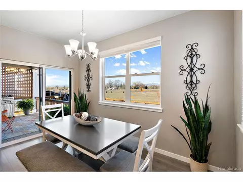 14563 Holstein St, Mead, CO 80542 photo 16