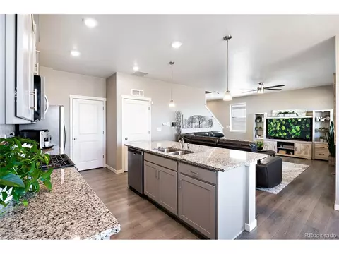 14563 Holstein St, Mead, CO 80542 photo 15