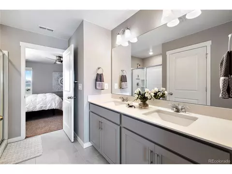14563 Holstein St, Mead, CO 80542 photo 22