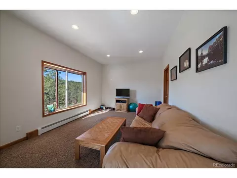 44 Woodside Cir, Pine, CO 80470 photo 32