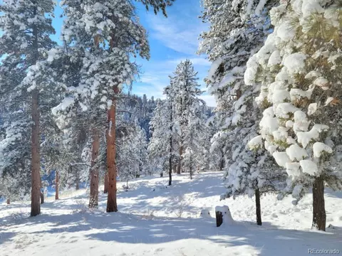 44 Woodside Cir, Pine, CO 80470 photo 50
