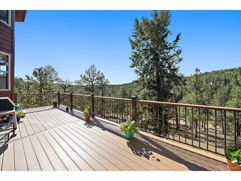 44 Woodside Cir, Pine, CO 80470 photo 38