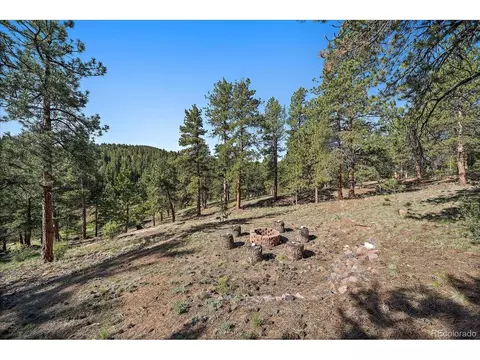 44 Woodside Cir, Pine, CO 80470 photo 42