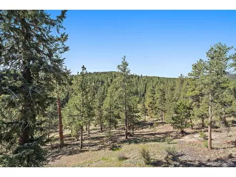 44 Woodside Cir, Pine, CO 80470 photo 39