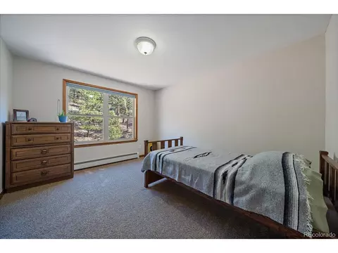 44 Woodside Cir, Pine, CO 80470 photo 30