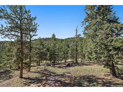 44 Woodside Cir, Pine, CO 80470 photo 41