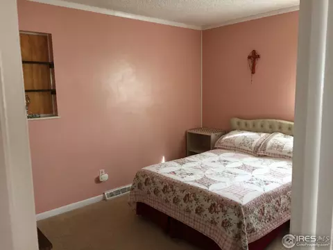 541 10th St, Windsor, CO 80550 photo 6