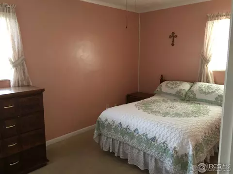541 10th St, Windsor, CO 80550 photo 5