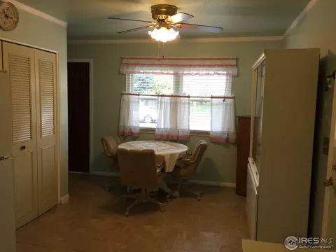 541 10th St, Windsor, CO 80550 photo 3