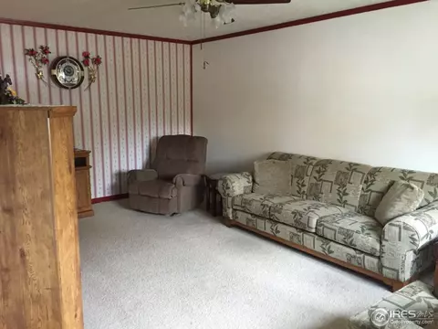 541 10th St, Windsor, CO 80550 photo 4