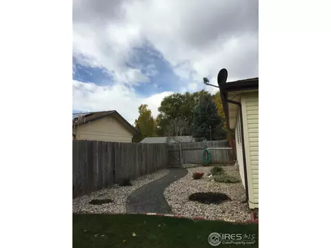 541 10th St, Windsor, CO 80550 photo 11