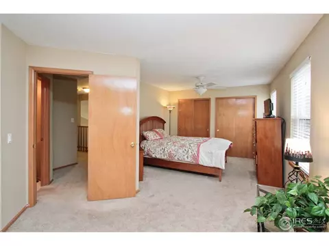 6905 Gladiola St, Arvada, CO 80004 photo 13