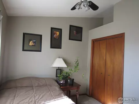7 Orchid Ct, Windsor, CO 80550 photo 15