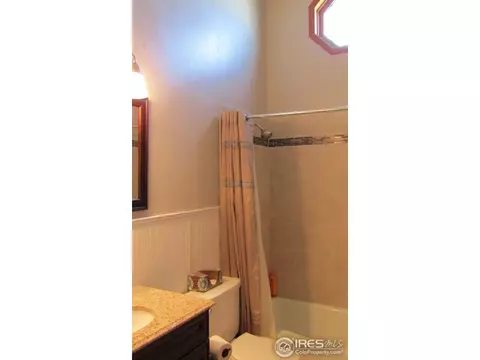 7 Orchid Ct, Windsor, CO 80550 photo 16